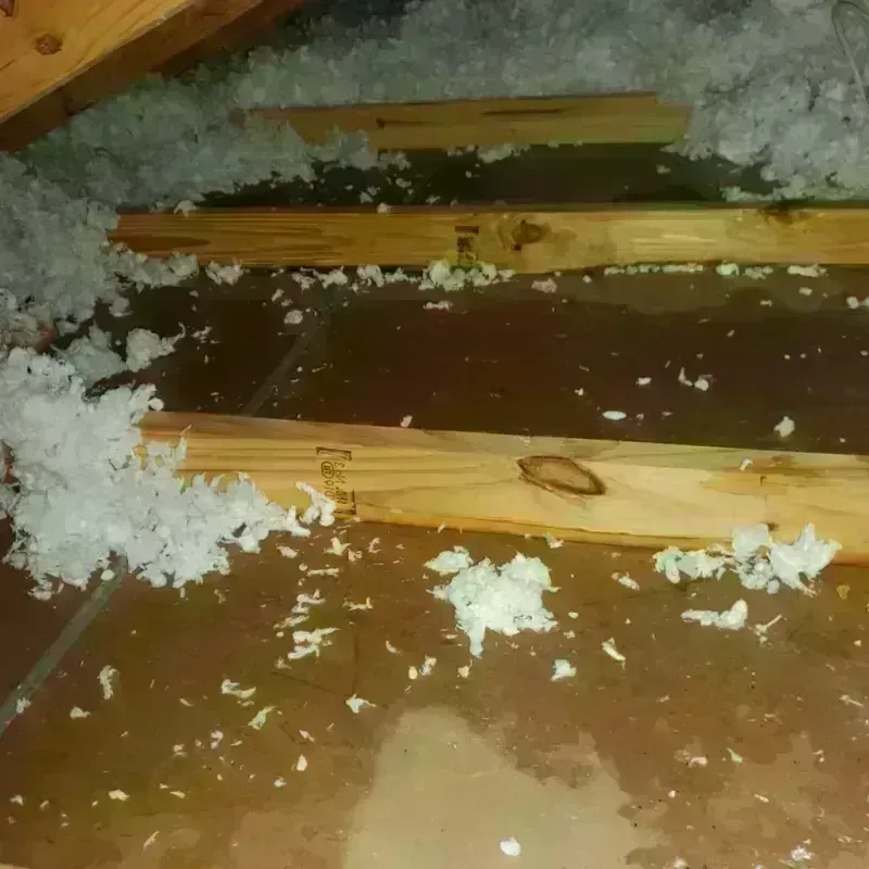 Attic Water Damage in Superior, AZ