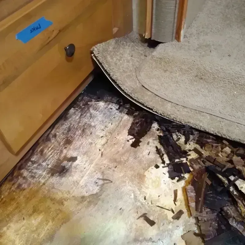 Wood Floor Water Damage in Superior, AZ